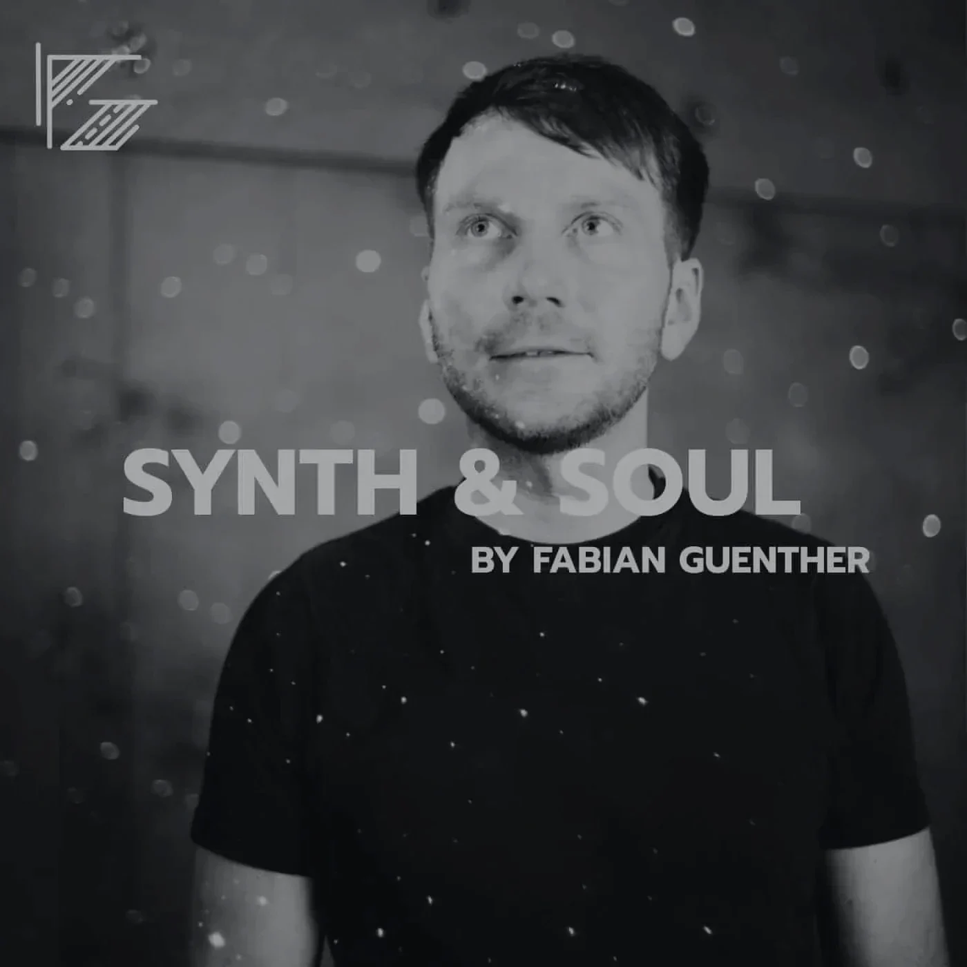 Cover der Reihe Synth & Soul von Fabian Guenther